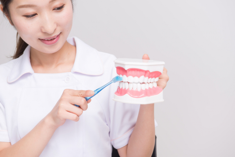 日本に 紀州和歌山てんこもりいい歯の歯間のお掃除しま専科滅菌済１１８本×144個